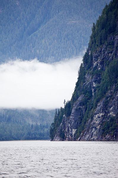 Fog Bank.jpg